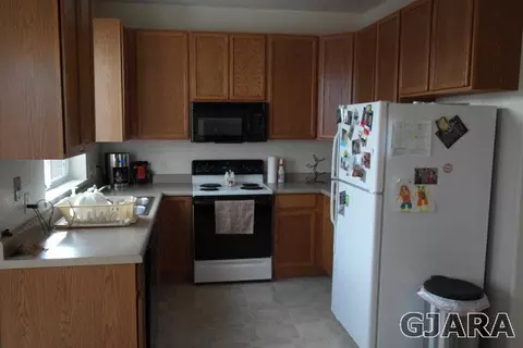 236 Drumlin Cir, Fruita, CO 81521 photo 6
