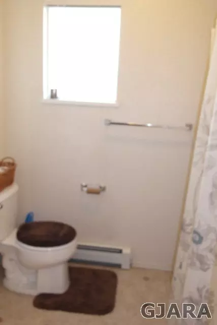 234 Drumlin Cir, Fruita, CO 81521 photo 14