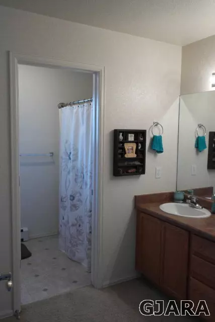 234 Drumlin Cir, Fruita, CO 81521 photo 15