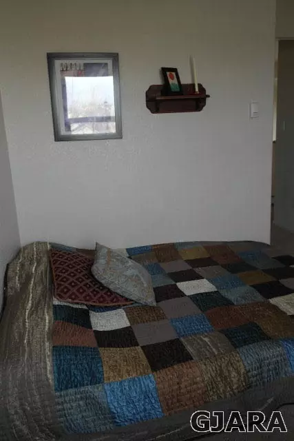 234 Drumlin Cir, Fruita, CO 81521 photo 9