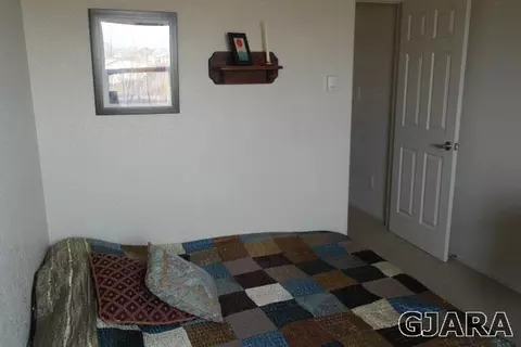 234 Drumlin Cir, Fruita, CO 81521 photo 10
