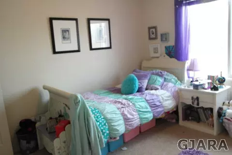 234 Drumlin Cir, Fruita, CO 81521 photo 12