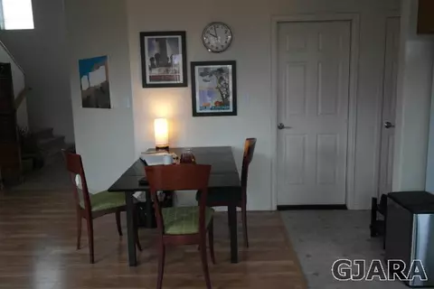 234 Drumlin Cir, Fruita, CO 81521 photo 4