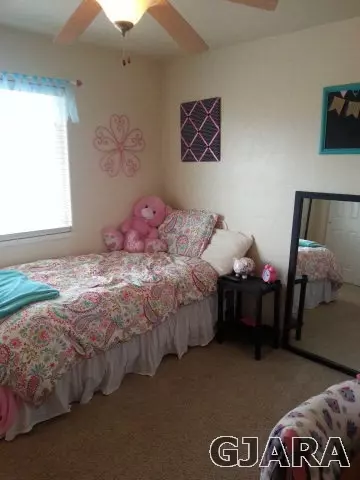 891 Cresthaven Dr, Fruita, CO 81521 photo 24