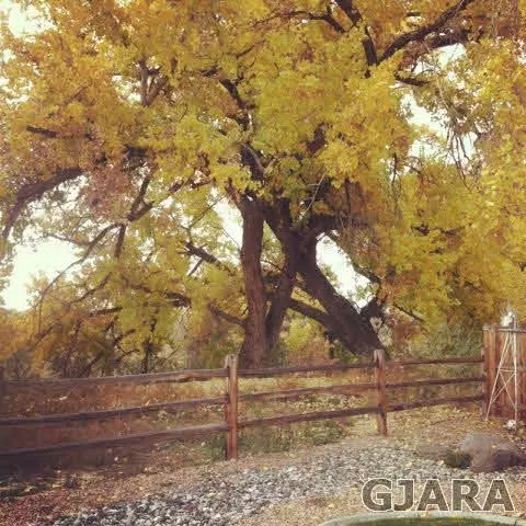 891 Cresthaven Dr, Fruita, CO 81521 photo 13