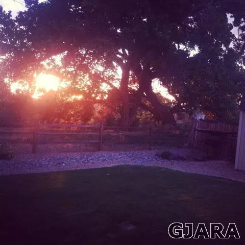 891 Cresthaven Dr, Fruita, CO 81521 photo 11