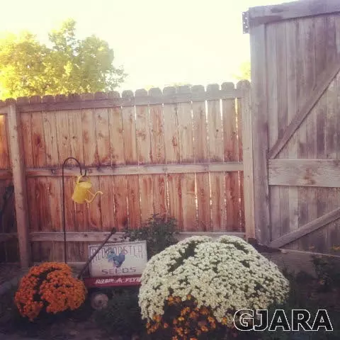 891 Cresthaven Dr, Fruita, CO 81521 photo 14