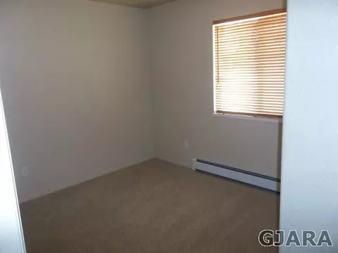 156 Compton Ct, Fruita, CO 81521 photo 8