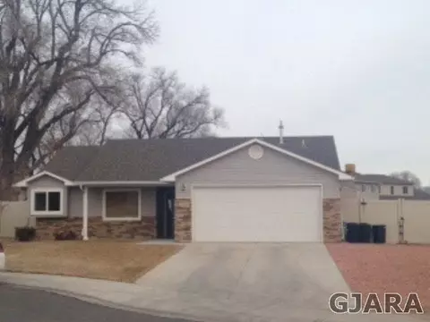 156 Compton Ct, Fruita, CO 81521 photo 1