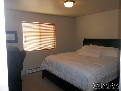 156 Compton Ct, Fruita, CO 81521 photo 13