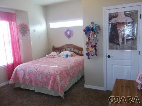 1488 18 Rd, Fruita, CO 81521 photo 13