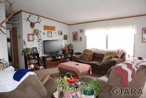 889 20 Rd, Fruita, CO 81521 photo 3