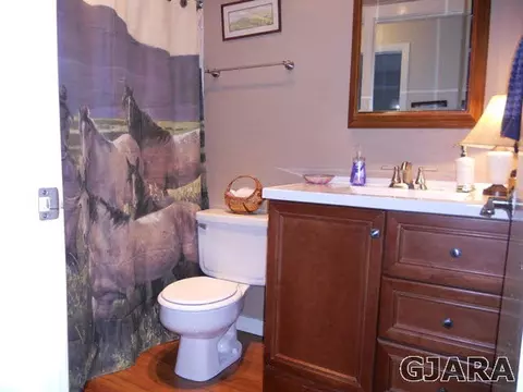 235 E Lexington Way, Fruita, CO 81521 photo 7