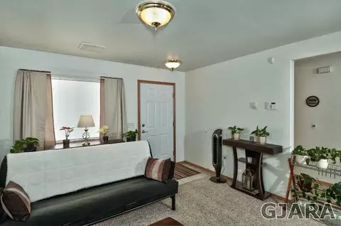 290 NW Ninth St, Cedaredge, CO 81413 photo 4