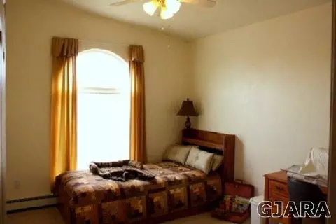 409 W Ottley Ave, Fruita, CO 81521 photo 15