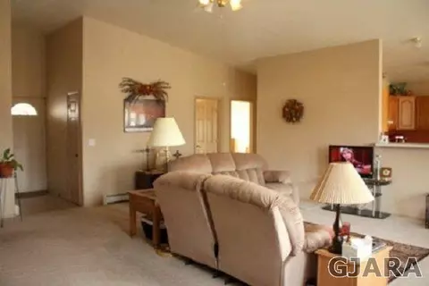 409 W Ottley Ave, Fruita, CO 81521 photo 4