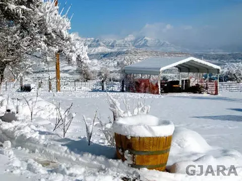 9757 48 Rd, Mesa, CO 81643 photo 15