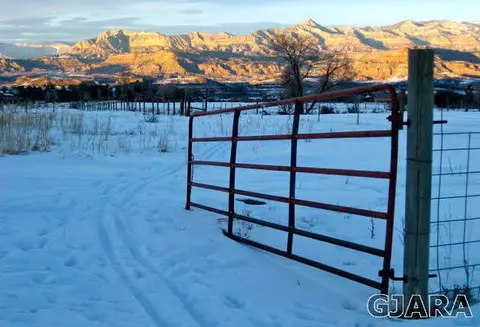 9757 48 Rd, Mesa, CO 81643 photo 17
