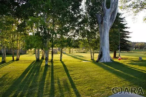 9757 48 Rd, Mesa, CO 81643 photo 23