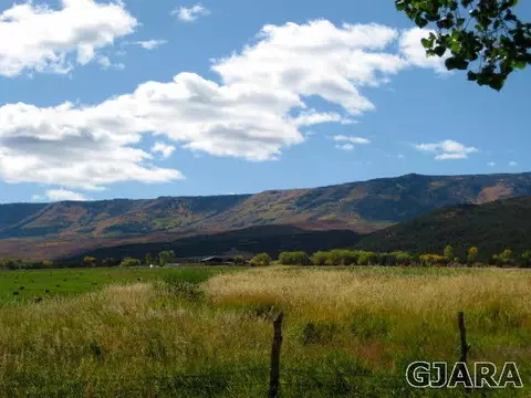 9757 48 Rd, Mesa, CO 81643 photo 19