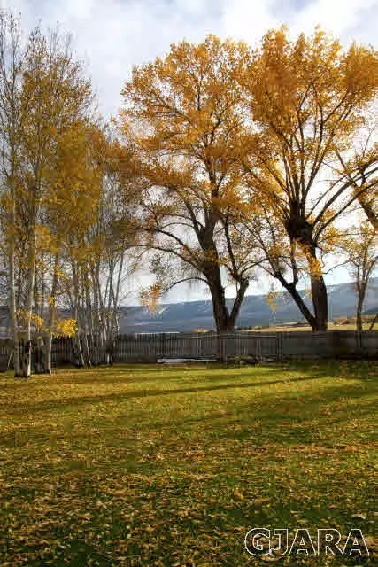 9757 48 Rd, Mesa, CO 81643 photo 34