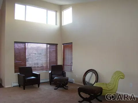 117 Compton Ct, Fruita, CO 81521 photo 4