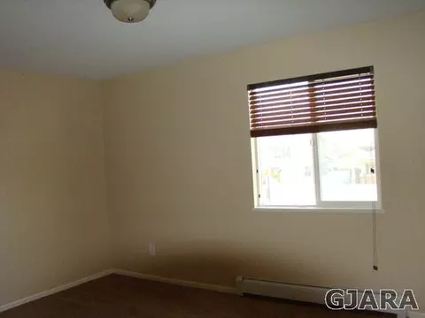 117 Compton Ct, Fruita, CO 81521 photo 10