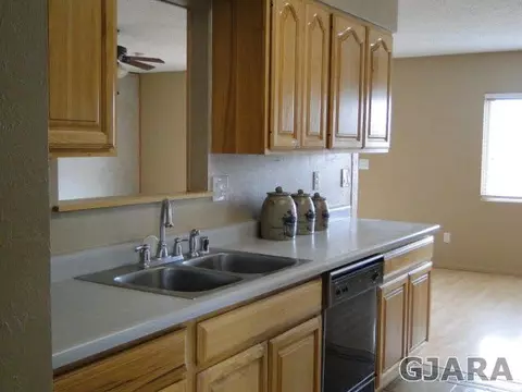 337 E Lexington Way, Fruita, CO 81521 photo 3
