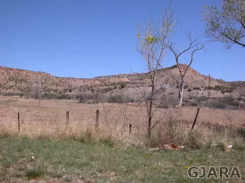 700 Denver Ave #6, De Beque, CO 81630 photo 19