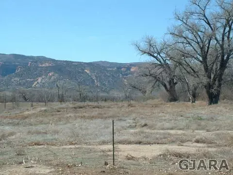 833 21 Rd, Fruita, CO 81521 photo 8