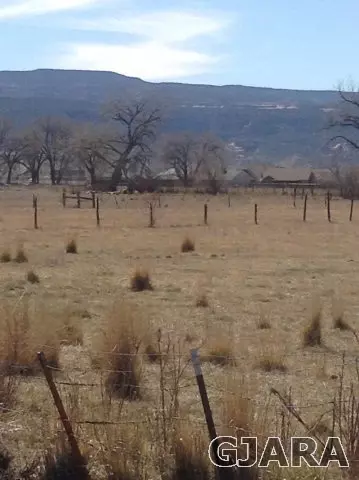 1851 K Rd, Fruita, CO 81521 photo 7