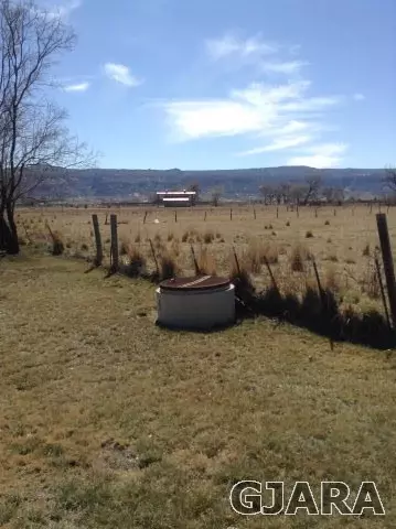 1851 K Rd, Fruita, CO 81521 photo 6
