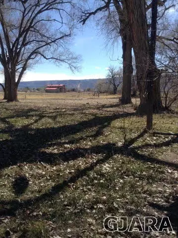1851 K Rd, Fruita, CO 81521 photo 2