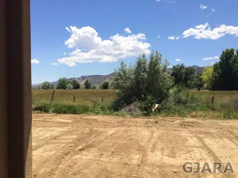 582 Beech Ave, Fruita, CO 81521 photo 24