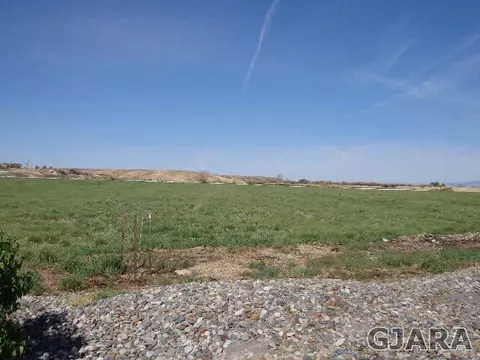 1427 19 Rd, Fruita, CO 81521 photo 7
