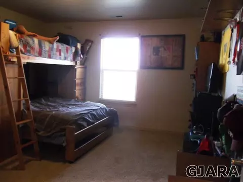 971 Kaley St, Fruita, CO 81521 photo 12