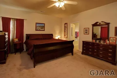 561 Amethyst Dr, Fruita, CO 81521 photo 9