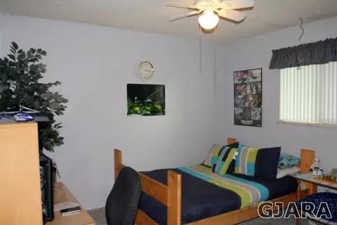 338 N Mesa St, Fruita, CO 81521 photo 19