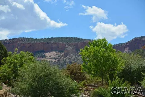 916 Crown Ct, Fruita, CO 81521 photo 4