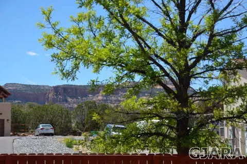 916 Crown Ct, Fruita, CO 81521 photo 26