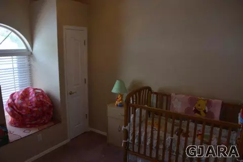 916 Crown Ct, Fruita, CO 81521 photo 17