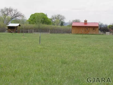 2019 K Rd, Fruita, CO 81521 photo 39