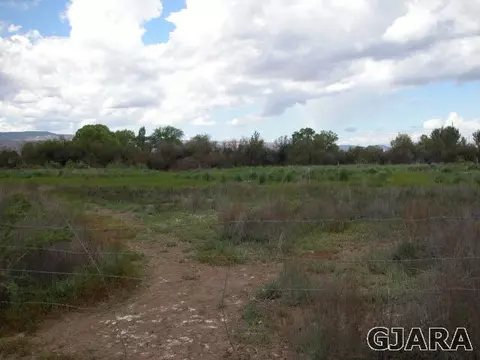 2019 K Rd, Fruita, CO 81521 photo 29