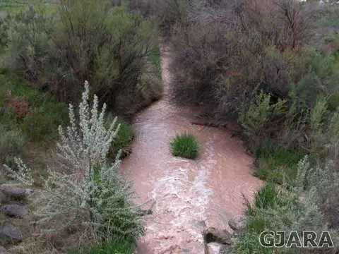 2019 K Rd, Fruita, CO 81521 photo 36