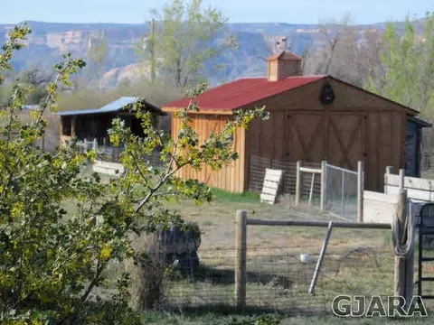 2019 K Rd, Fruita, CO 81521 photo 26