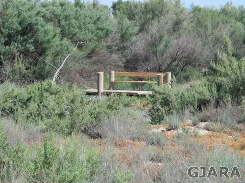 2019 K Rd, Fruita, CO 81521 photo 31