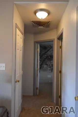 1100 Powell St, Fruita, CO 81521 photo 22