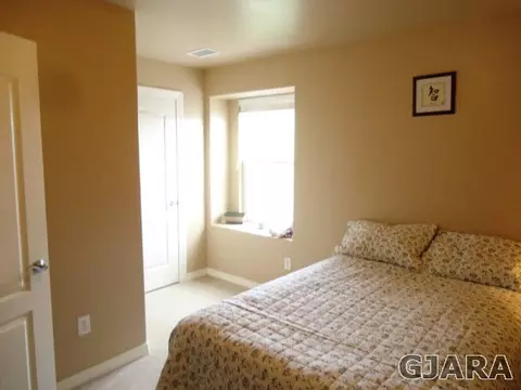 173 Lyndhurst Ave, Fruita, CO 81521 photo 9