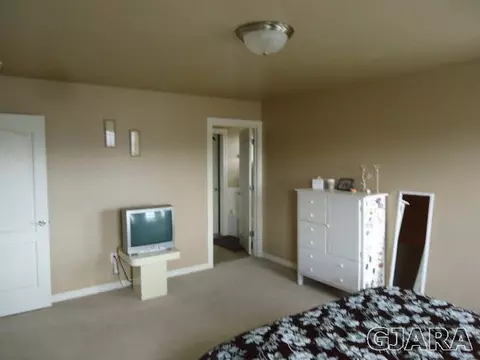173 Lyndhurst Ave, Fruita, CO 81521 photo 7