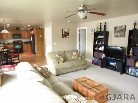 173 Lyndhurst Ave, Fruita, CO 81521 photo 4